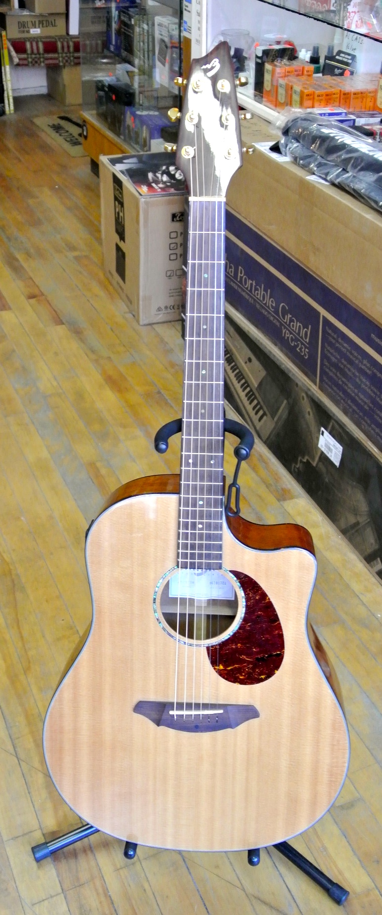 Used Breedlove AD25/SW