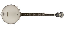Washburn B7