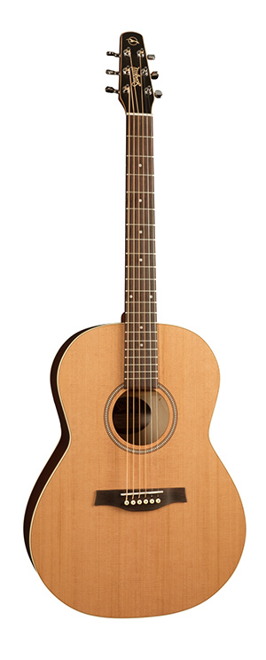 Seagull Coastline Folk Cedar