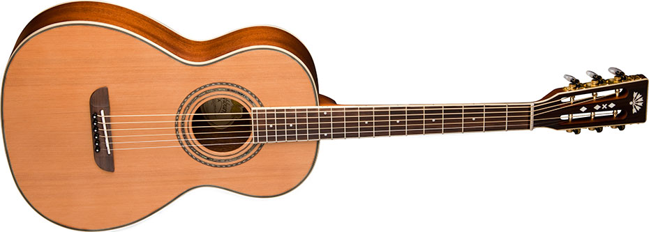Washburn WP11SNS