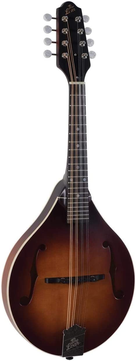 The Loar LM110