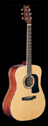 Used Washburn D10S