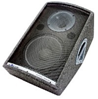 Elvis 12M 2-way stage monitor system