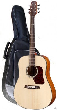 Used Walden D 555
