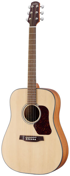 Used Walden D 550