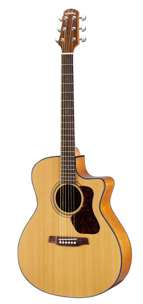 Used Walden CG570 CE