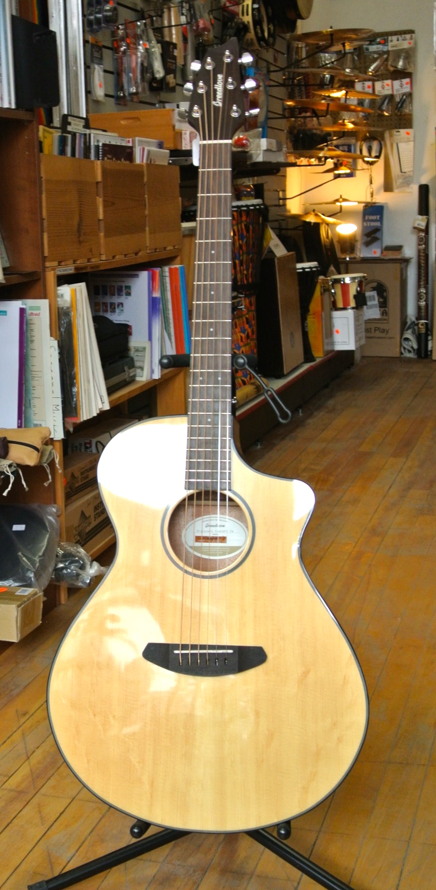 Breedlove Discovery Concert CE